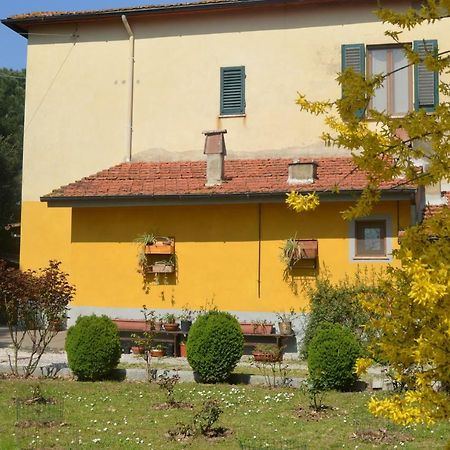 Campo Alle Monache Bucine Экстерьер фото