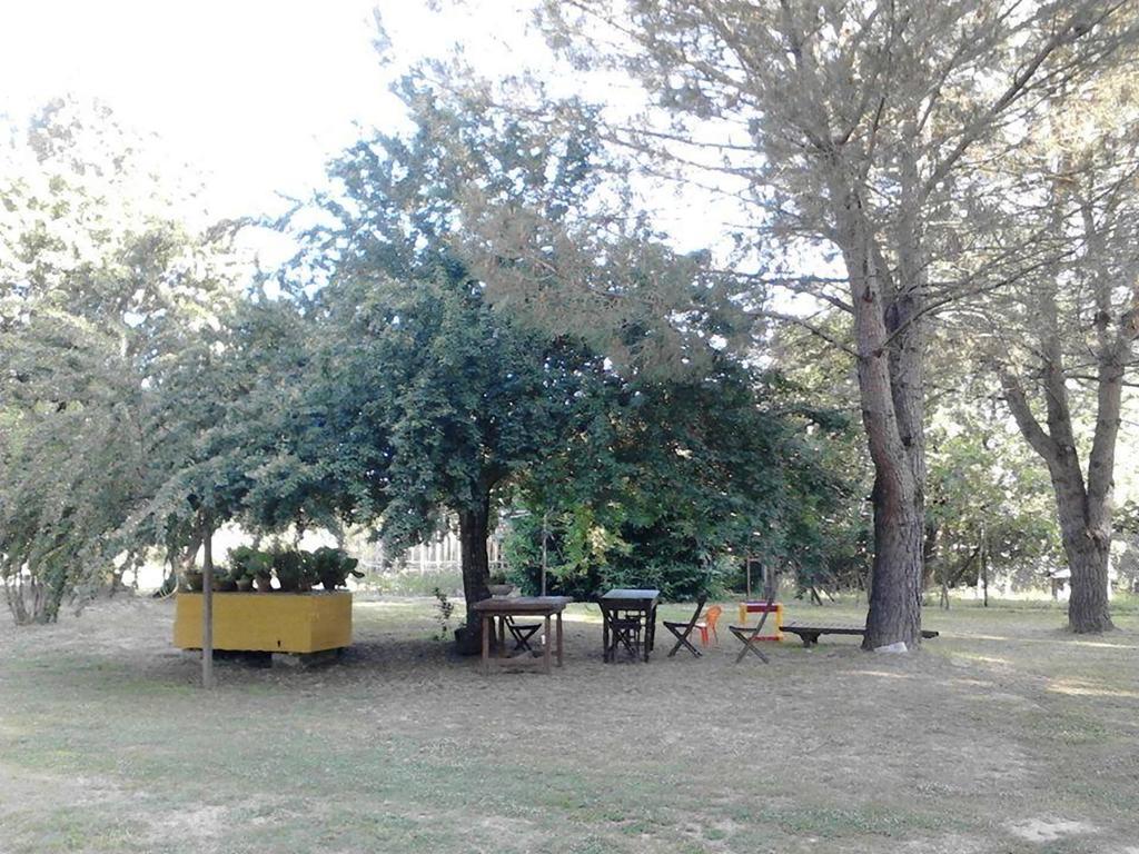 Campo Alle Monache Bucine Экстерьер фото