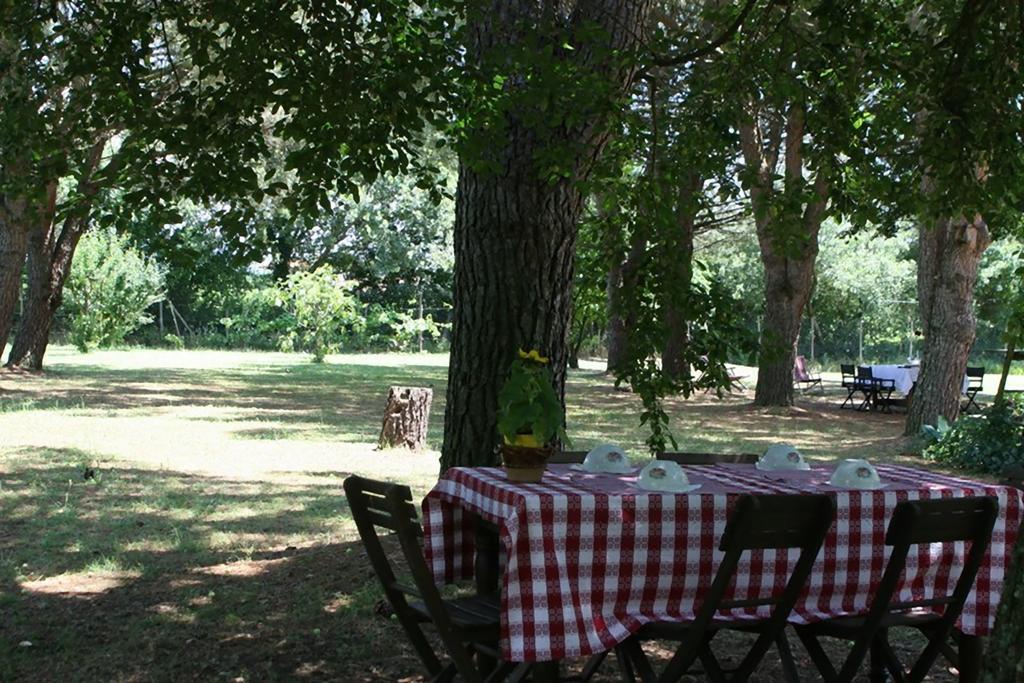 Campo Alle Monache Bucine Экстерьер фото