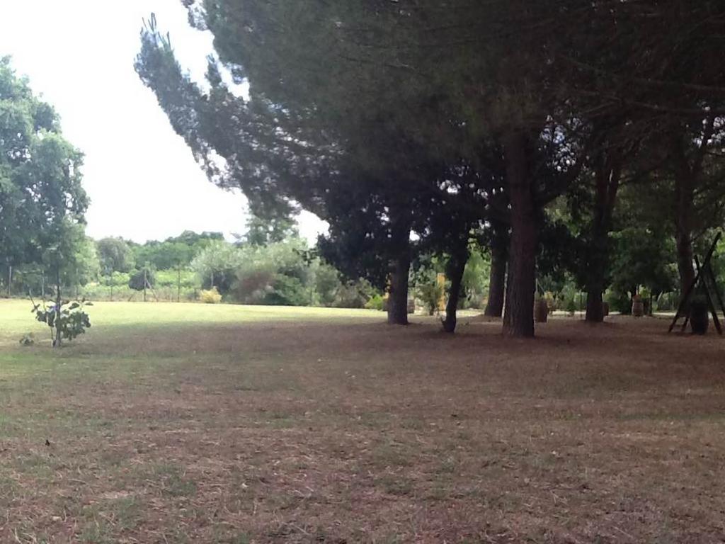 Campo Alle Monache Bucine Экстерьер фото
