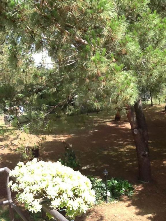 Campo Alle Monache Bucine Экстерьер фото
