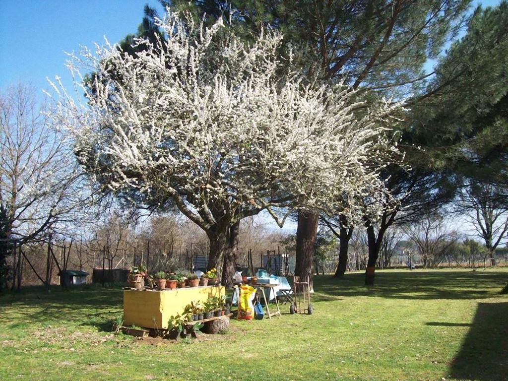 Campo Alle Monache Bucine Экстерьер фото