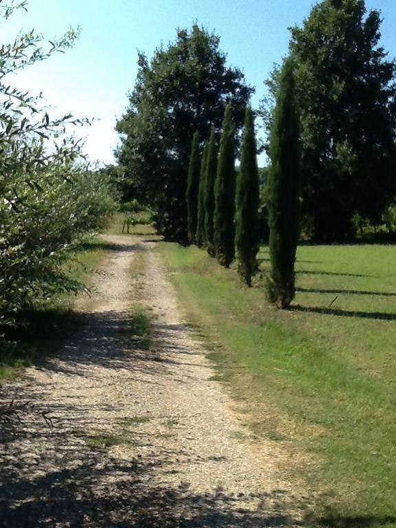 Campo Alle Monache Bucine Экстерьер фото