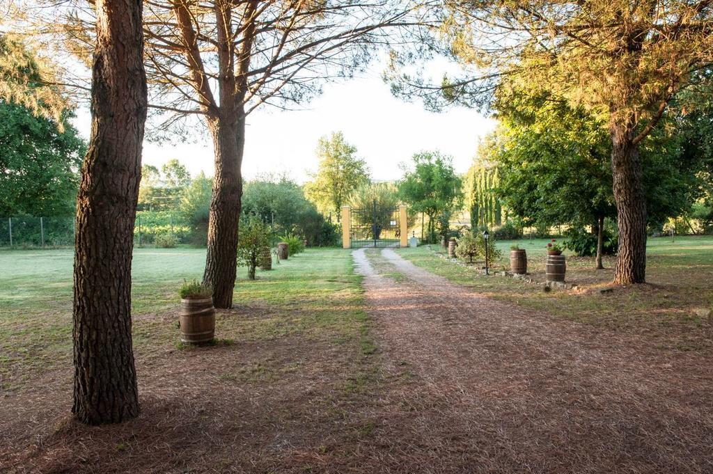 Campo Alle Monache Bucine Экстерьер фото