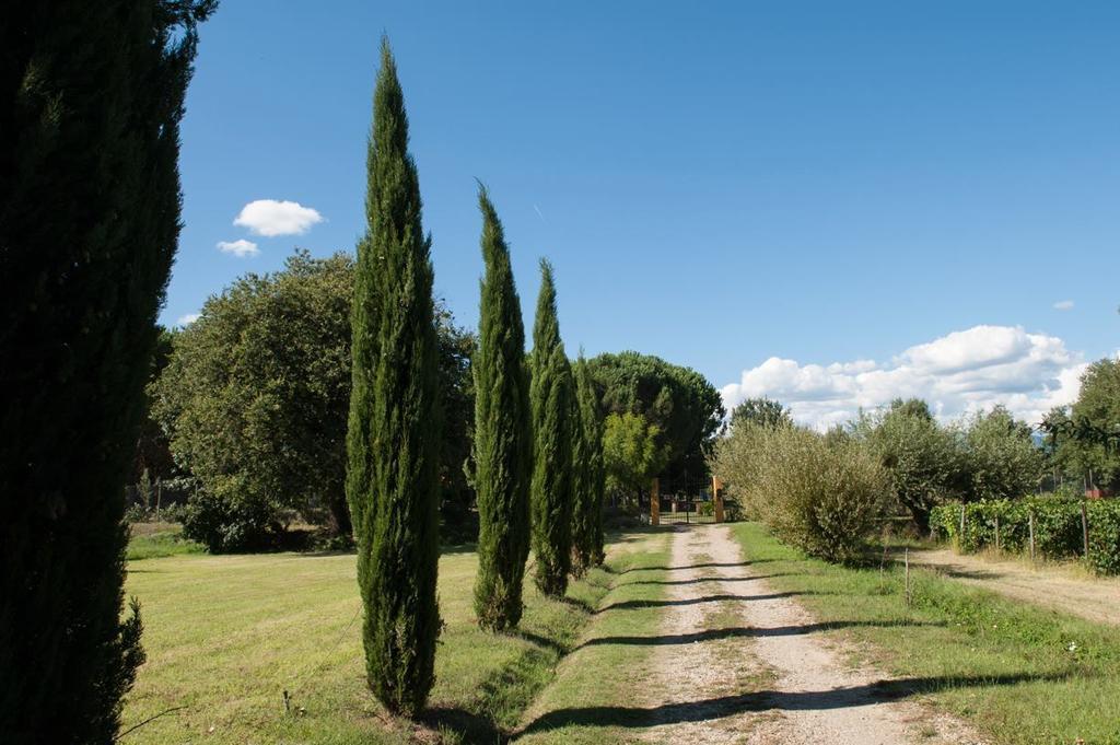 Campo Alle Monache Bucine Экстерьер фото