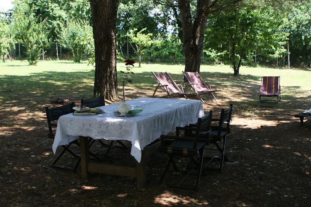 Campo Alle Monache Bucine Экстерьер фото
