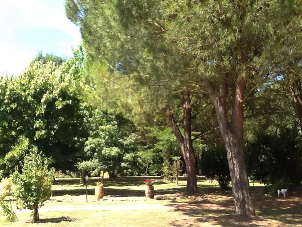 Campo Alle Monache Bucine Экстерьер фото