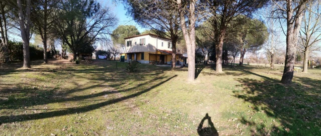 Campo Alle Monache Bucine Экстерьер фото