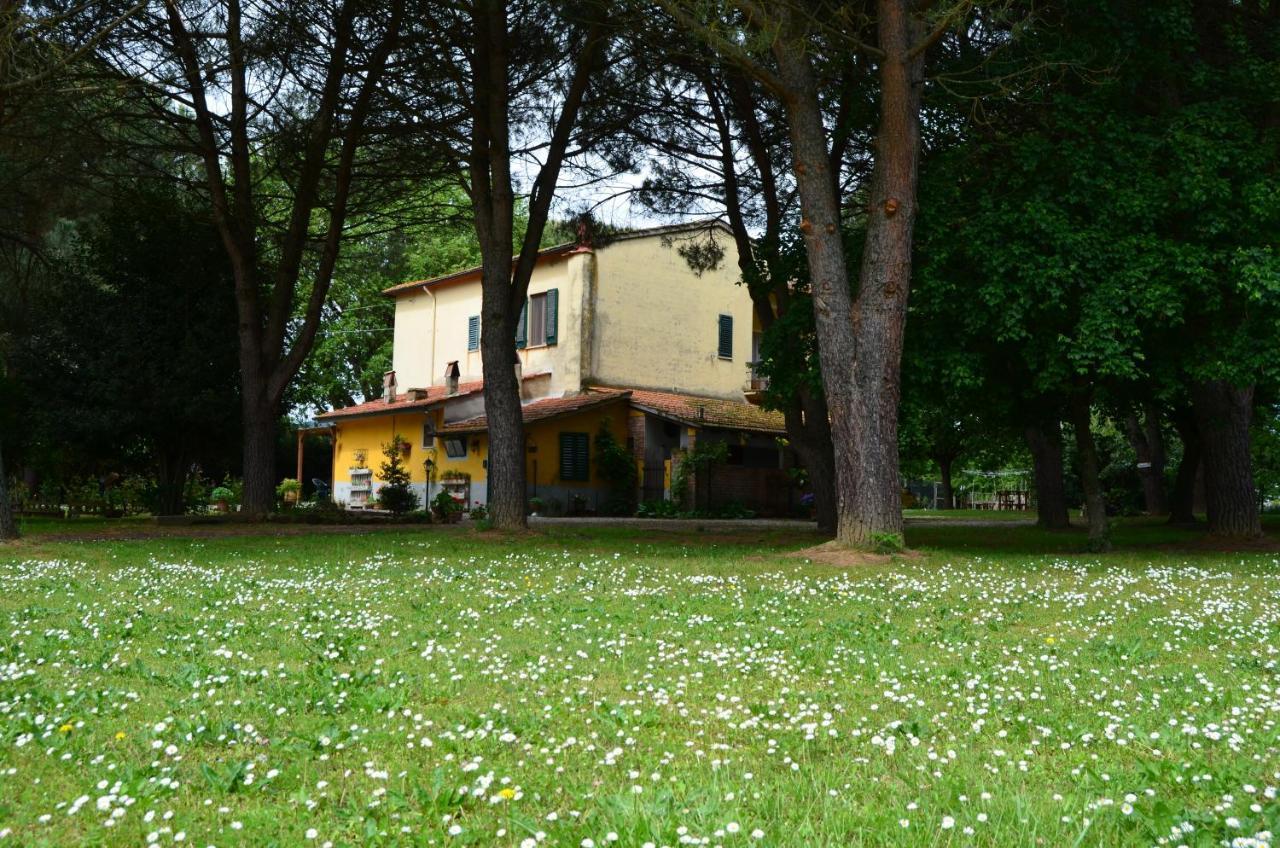 Campo Alle Monache Bucine Экстерьер фото